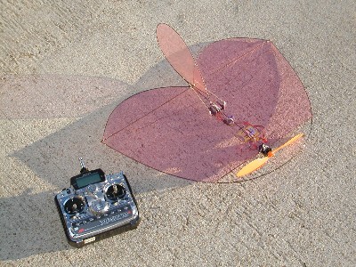 Transmitter for size comparison